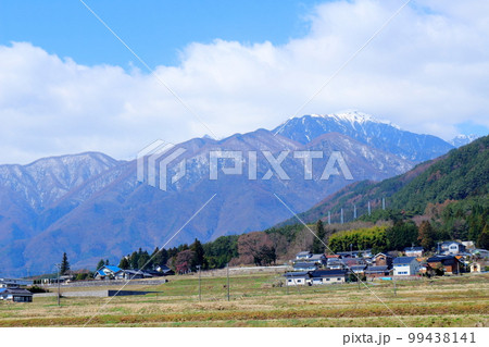 飯田の桜　　信州の桜　　花と植物が織りなす色紙　 99438141