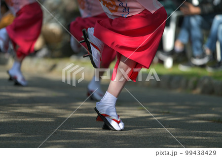 阿波踊り　春の祭典　徳島市　有名連の女踊り　 99438429