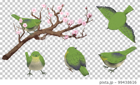 白眼圖素材集 99438616