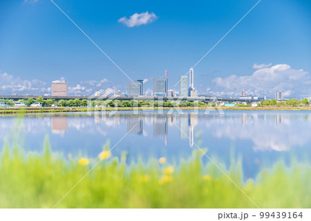 「埼玉県」見沼田んぼ　田植えの時期、水田に映るさいたま新都心 99439164