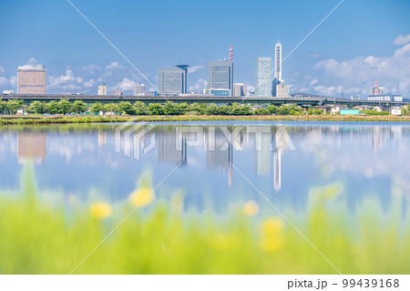 「埼玉県」見沼田んぼ 田植えの時期、水田に映るさいたま新都心 「埼玉県」見沼田んぼ 田植えの時期、水田に映るさいたま新都心 99439168