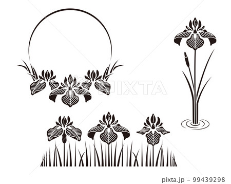 菖蒲のフレームとデザイン（黒） 99439298