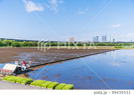 「埼玉県」見沼田んぼ　田植えの準備 99439331