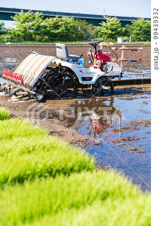 「埼玉県」見沼田んぼ 田植えの準備 「埼玉県」見沼田んぼ 田植えの準備 99439332