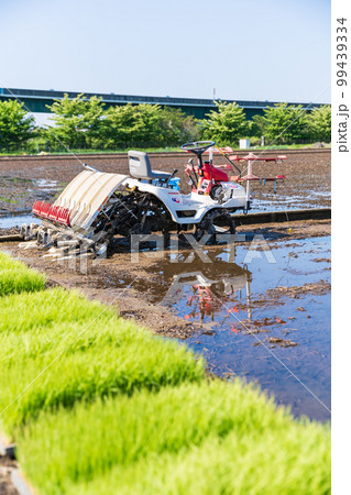 「埼玉県」見沼田んぼ 田植えの準備 「埼玉県」見沼田んぼ 田植えの準備 99439334