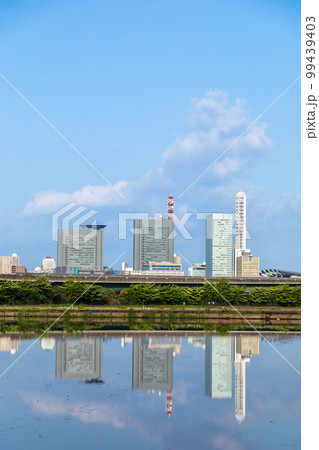「埼玉県」見沼田んぼ　田植えの時期、水田に映るさいたま新都心 99439403