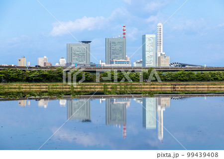 「埼玉県」見沼田んぼ　田植えの時期、水田に映るさいたま新都心 99439408