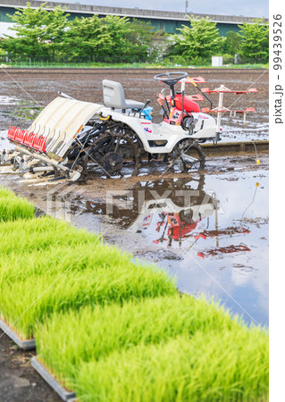 「埼玉県」見沼田んぼ 田植えの準備 「埼玉県」見沼田んぼ 田植えの準備 99439526