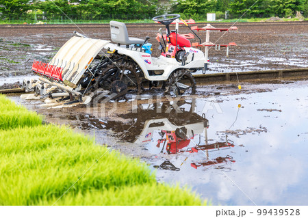 「埼玉県」見沼田んぼ 田植えの準備 「埼玉県」見沼田んぼ 田植えの準備 99439528