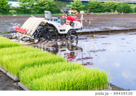 「埼玉県」見沼田んぼ 田植えの準備 「埼玉県」見沼田んぼ 田植えの準備 99439530
