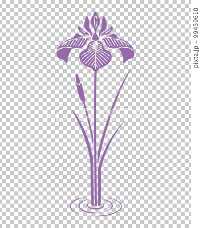 菖蒲の花と蕾のデザイン 99439610