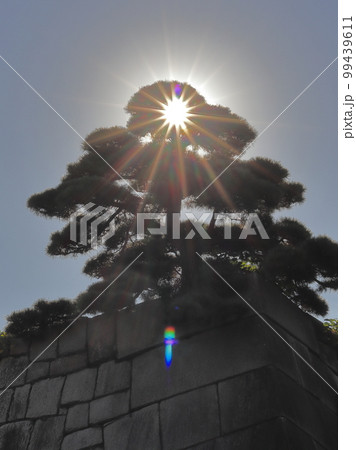 江戸城天守閣 99439611