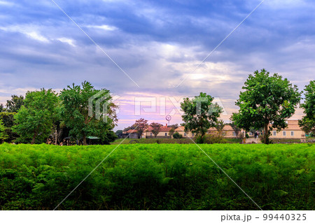緑鮮やかな丘の上の公園の風景 99440325