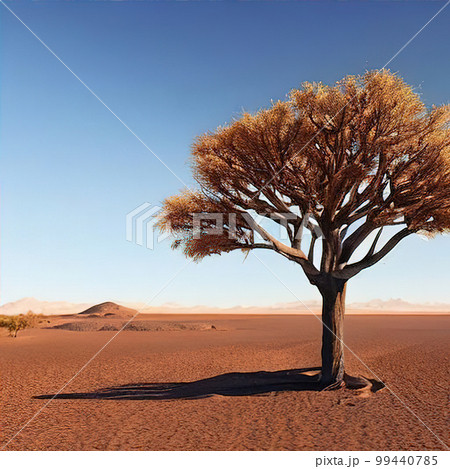 global warming, drought, deserted nature and dried tree 99440785