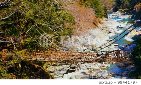 祖谷のかずら橋 祖谷のかずら橋 99441797