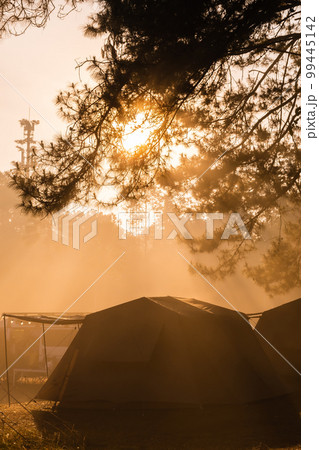 Tent camping in the morning . At Thung Salaeng Luang National Park Phetchabun Province, Thailand Tent camping in the morning . At Thung Salaeng Luang National Park Phetchabun Province, Thailand 99445142