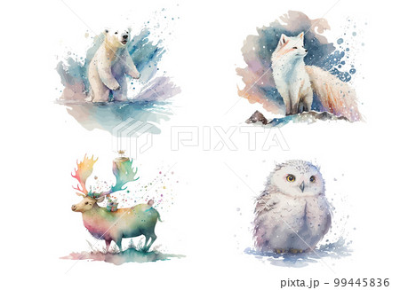 Snowy owl. reindeer and polar bear, arctic fox in watercolor style. Isolated vector illustration 99445836