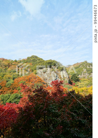碧空に紅葉が映える寒霞渓_小豆島 99446673