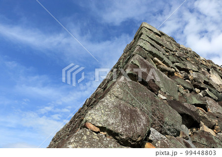 郡山城の石垣 99448803