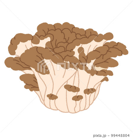 舞茸のイラスト 舞茸のイラスト 99448804