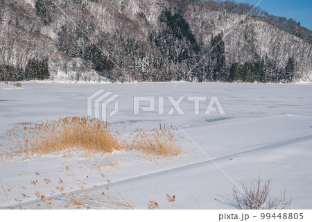 全面結氷し、銀世界となった中綱湖【大町市】 99448805