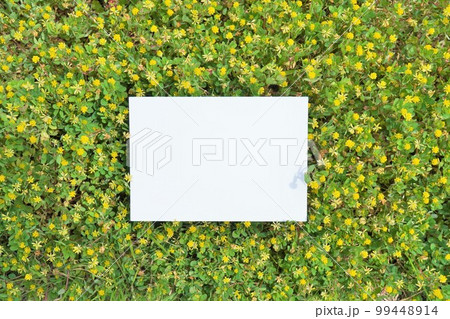 敷き詰められた黄色いコメツブツメクサの花の背景にした春らしいコメントフレームのモックアップ 99448914