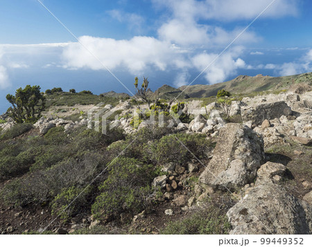 Rocky platau, hills sharp rock formation, hills and cliffs seen seen from hiking trail at Park rural de teno, Tenerife, Canary Islands, Spain. sunny winter day, blue sky Rocky platau, hills sharp rock formation, hills and cliffs seen seen from hiking trail at Park rural de teno, Tenerife, Canary Islands, Spain. sunny winter day, blue sky 99449352
