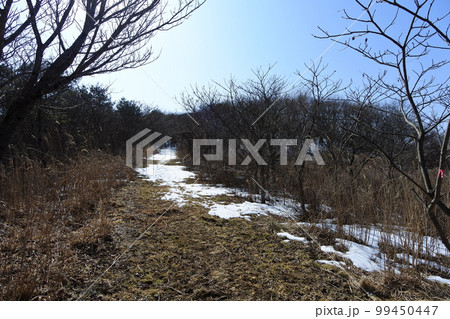 三株山 三株山 99450447