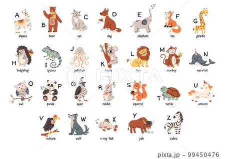 Colorful zoo alphabet with cute animals set. Cartoon letters from A to Z for children isolated vector illustration collection. 99450476