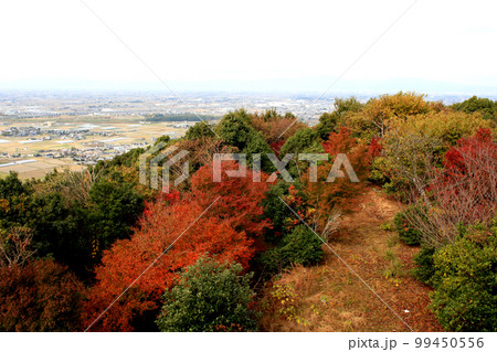 福岡県みやま市　女山史跡森林公園展望台から新船小屋駅方向を見下ろす眺望 99450556