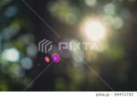 Beautiful green vibrant natural bokeh abstract background. Summer concept of abstract blurred background. Sun getting through trees foliage Defocused leaves of trees Bright morning sunshine sparkling 99451785