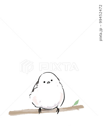 冬のふわふわシマエナガ 99452472