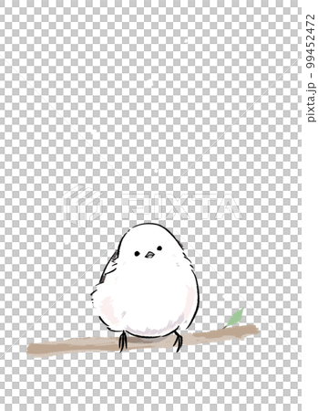 冬のふわふわシマエナガ 99452472