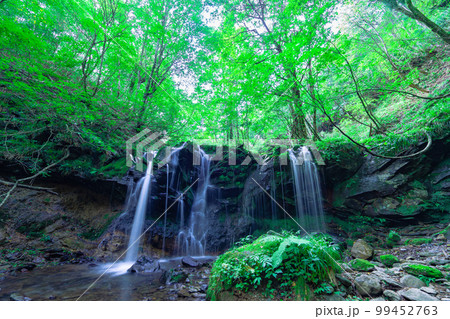 緑に囲まれた優美な猿壺の滝1　兵庫県美方郡新温泉町 99452763