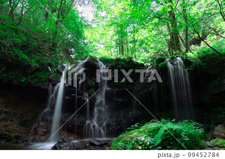 緑に囲まれた優美な猿壺の滝16　兵庫県美方郡新温泉町 99452784