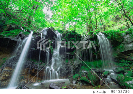 緑に囲まれた優美な猿壺の滝18 兵庫県美方郡新温泉町 緑に囲まれた優美な猿壺の滝18 兵庫県美方郡新温泉町 99452786