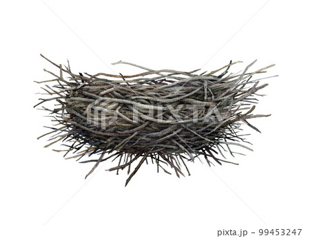 Bird nest made of sticks and branches. Watercolor illustration. Hand drawn wildlife nature outdoors, park, forest, garden element. Nest side view image. Isolated on white background Bird nest made of sticks and branches. Watercolor illustration. Hand drawn wildlife nature outdoors, park, forest, garden element. Nest side view image. Isolated on white background 99453247