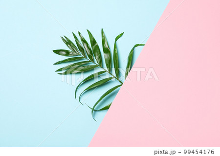 Concept of summertime, leaves, summer and nature concept Concept of summertime, leaves, summer and nature concept 99454176