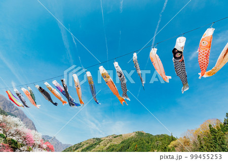 長野阿智村 月川温泉 花桃の郷の絶景 長野阿智村 月川温泉 花桃の郷の絶景 99455253
