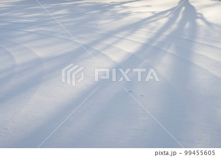 雪に写る木の影 99455605