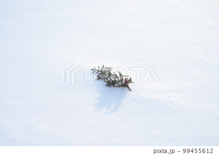雪に落ちた葉 99455612