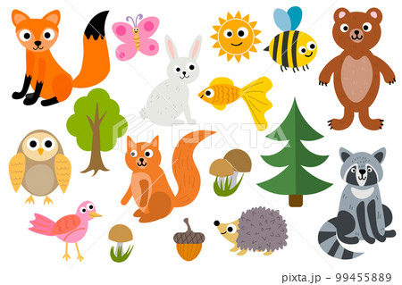 Cute cartoon set of woodland animals isolated on white background. Fox and hedgehog, owl and rabbit, bear and raccoon, bee and butterfly, golden fish and bird, squirrel and sun, trees, mushrooms. Cute cartoon set of woodland animals isolated on white background. Fox and hedgehog, owl and rabbit, bear and raccoon, bee and butterfly, golden fish and bird, squirrel and sun, trees, mushrooms. 99455889