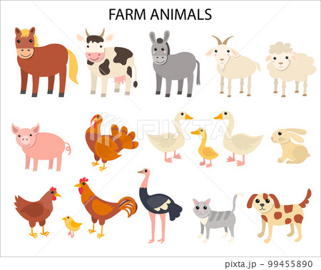 Cartoon farm animals in flat style isolated on white background. Horse and cow, donkey and sheep, pig and turkey, goose and rabbit, hen and cock, ostrich and cat, dog and goat. 99455890