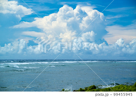 南国の海と積乱雲 99455945