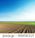 Agriculture ploughed field and green on horizon in sunset time. Blue sky over farmland. Ukrainian agriculture landscape. 99456315