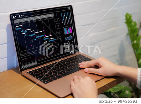 Analyst working on laptop computer. Business Analytics chart and data management System to make report with KPI and metrics connected to database. Corporate strategy for finance, and schedule planning 99456593
