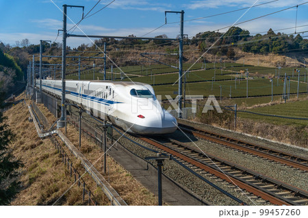 茶畑を走る　新幹線　静岡県 99457260