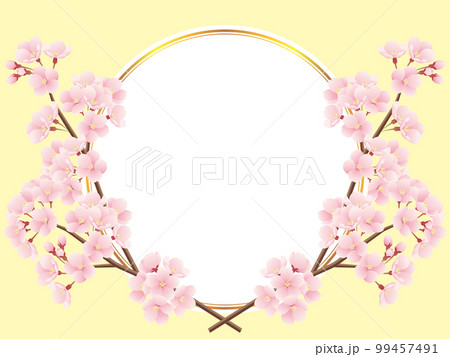 交差した桜の枝と金色ラインの丸フレームのイラスト(黄色) 交差した桜の枝と金色ラインの丸フレームのイラスト(黄色) 99457491