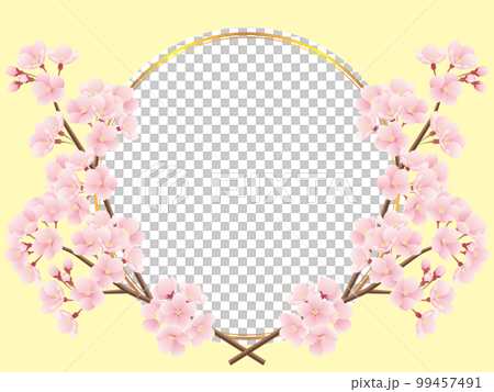 交差した桜の枝と金色ラインの丸フレームのイラスト(黄色) 交差した桜の枝と金色ラインの丸フレームのイラスト(黄色) 99457491