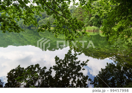 長野県　小海町　夏　松原湖 99457998